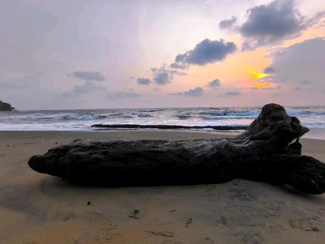 La Villa Lou, Musee Des Arts Grand Batangua Kribi Zewnętrze zdjęcie