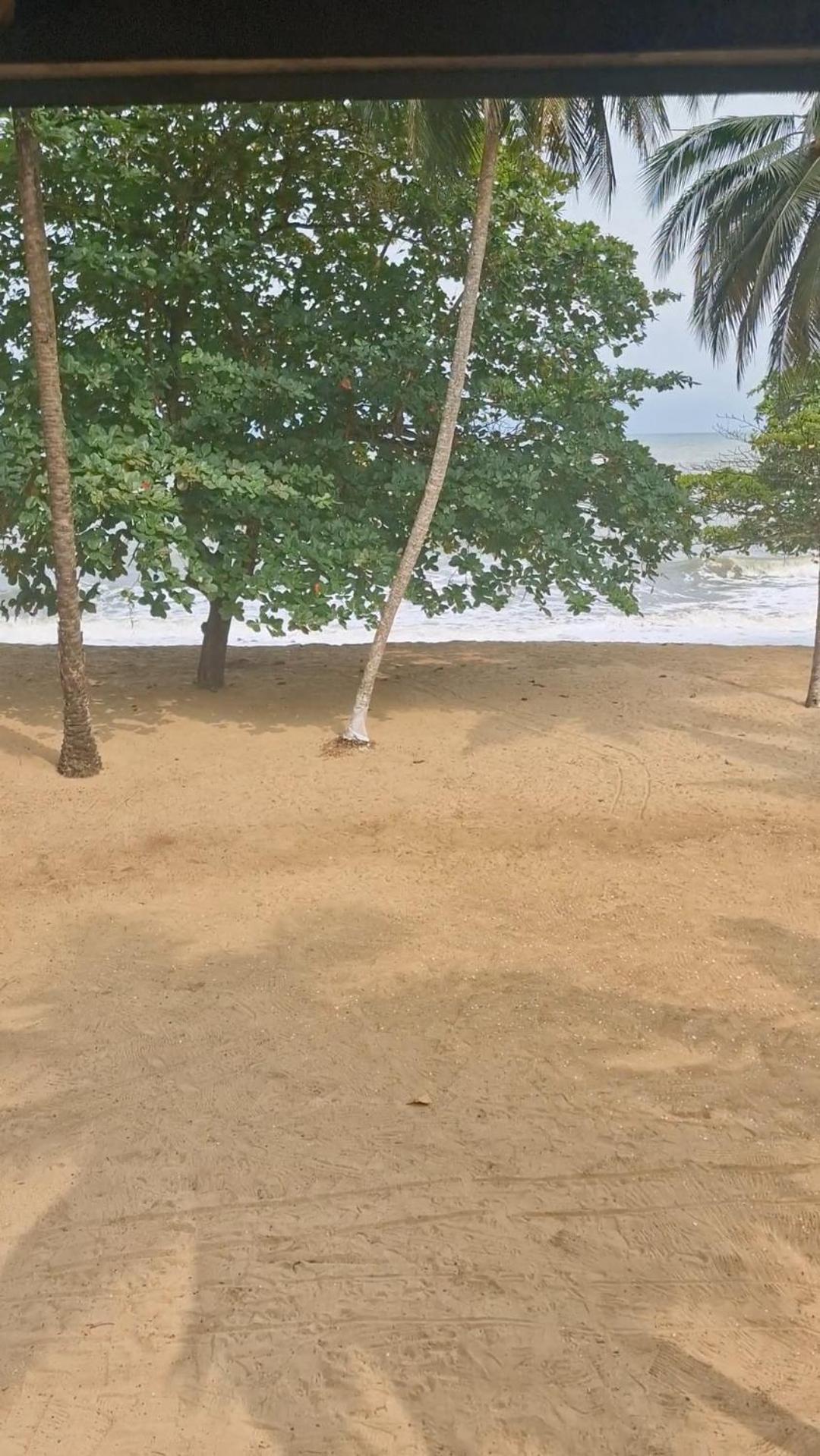 La Villa Lou, Musee Des Arts Grand Batangua Kribi Zewnętrze zdjęcie