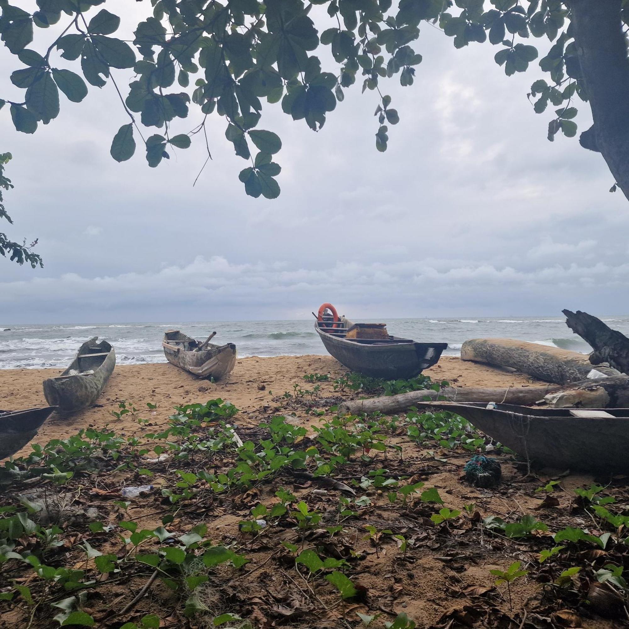 La Villa Lou, Musee Des Arts Grand Batangua Kribi Zewnętrze zdjęcie